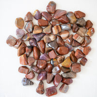 Petrified Wood - Tumbled Stone(s)