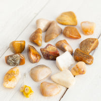 Agatized Coral - Tumbled