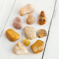 Agatized Coral - Tumbled