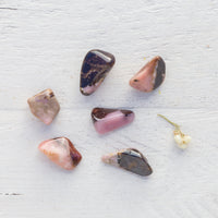 Bustamite - Tumbled Stone(s)