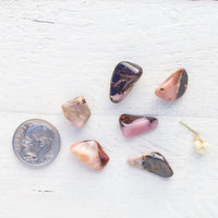 Bustamite - Tumbled Stone(s)