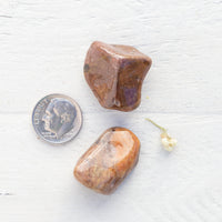 Bustamite - Tumbled Stone(s)