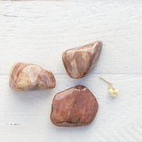 Bustamite - Tumbled Stone(s)