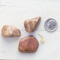 Bustamite - Tumbled Stone(s)