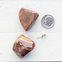 Bustamite - Tumbled Stone(s)