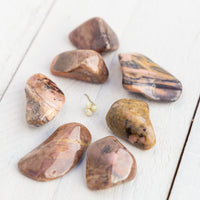 Bustamite - Tumbled Stone(s)