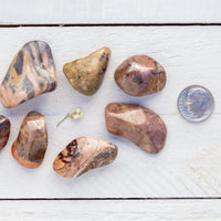 Bustamite - Tumbled Stone(s)