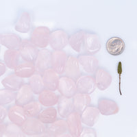 Rose Quartz - Girasol, Tumbled