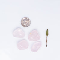 Rose Quartz - Girasol, Tumbled