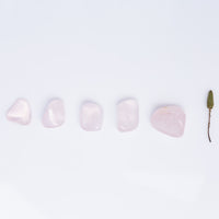 Rose Quartz - Girasol, Tumbled