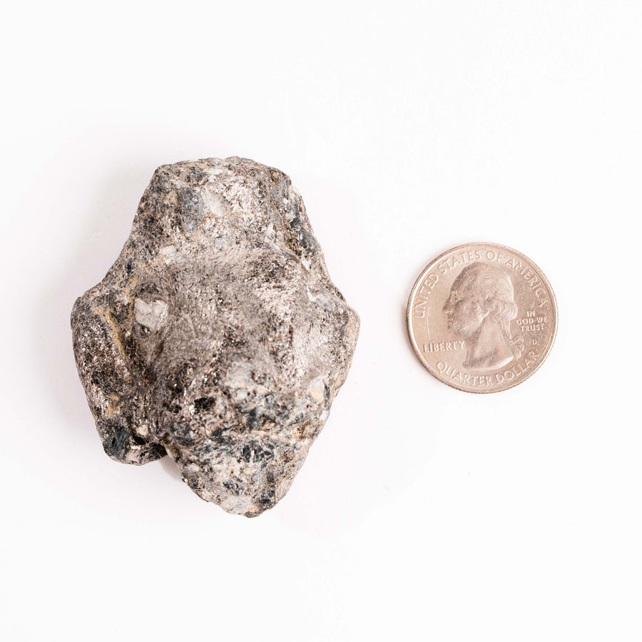 Alexandrite in Mica Schist - Earth Love Gallery Collection