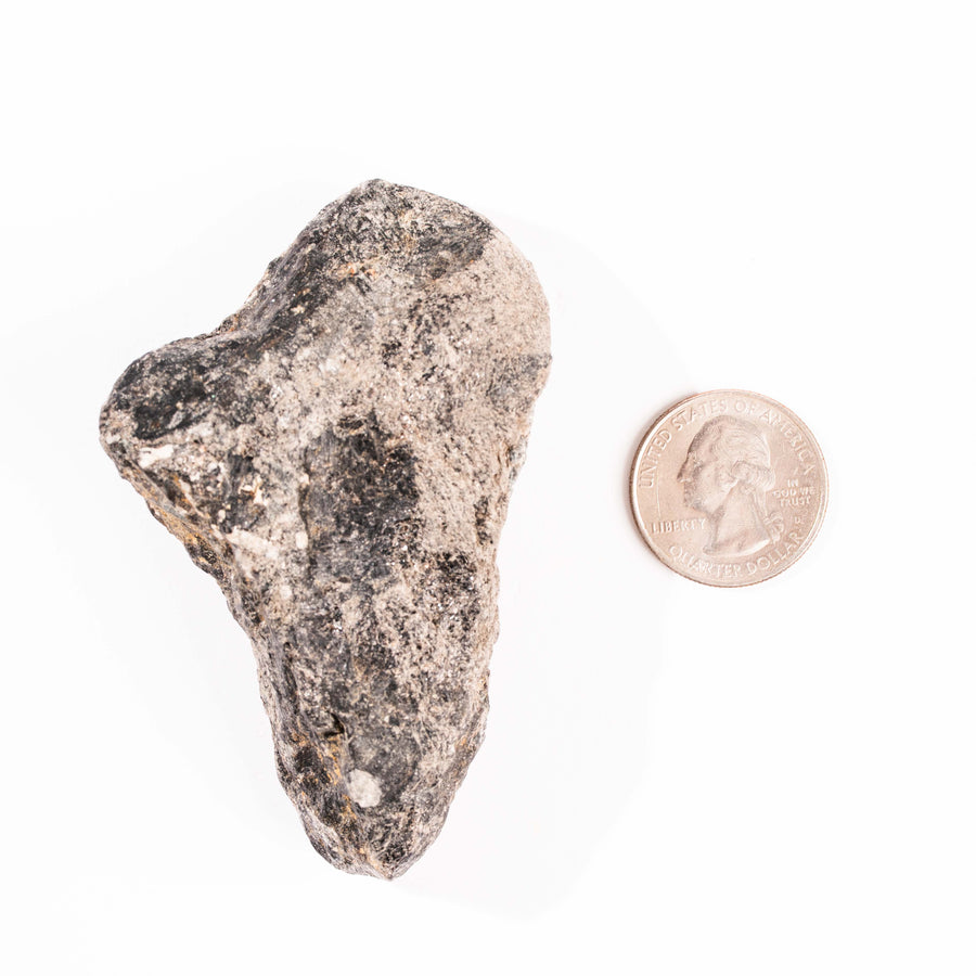 Alexandrite in Mica Schist - Earth Love Gallery Collection