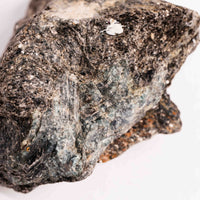 Alexandrite in Mica Schist - Earth Love Gallery Collection