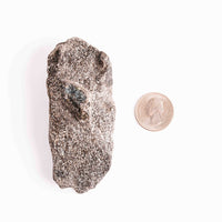 Alexandrite in Mica Schist - Earth Love Gallery Collection