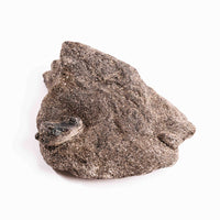 Alexandrite in Mica Schist - Earth Love Gallery Collection