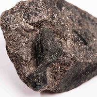 Alexandrite in Mica Schist - Earth Love Gallery Collection