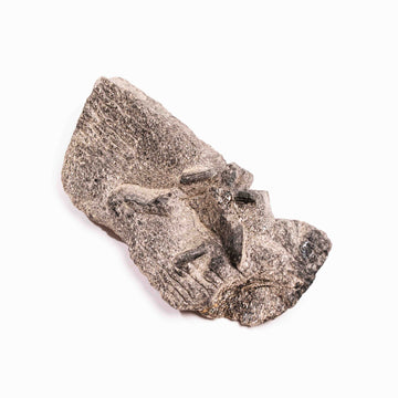 Alexandrite in Mica Schist - Earth Love Gallery Collection