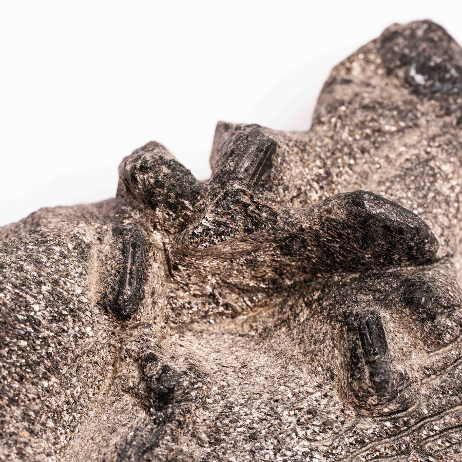 Alexandrite in Mica Schist - Earth Love Gallery Collection