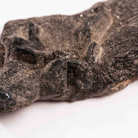 Alexandrite in Mica Schist - Earth Love Gallery Collection