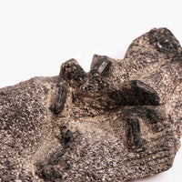 Alexandrite in Mica Schist - Earth Love Gallery Collection