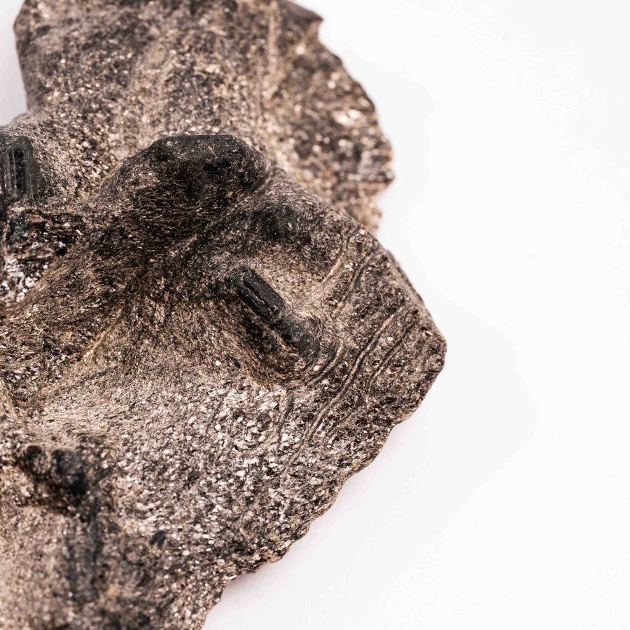 Alexandrite in Mica Schist - Earth Love Gallery Collection