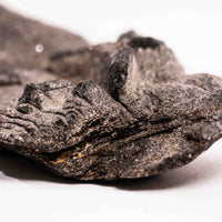 Alexandrite in Mica Schist - Earth Love Gallery Collection