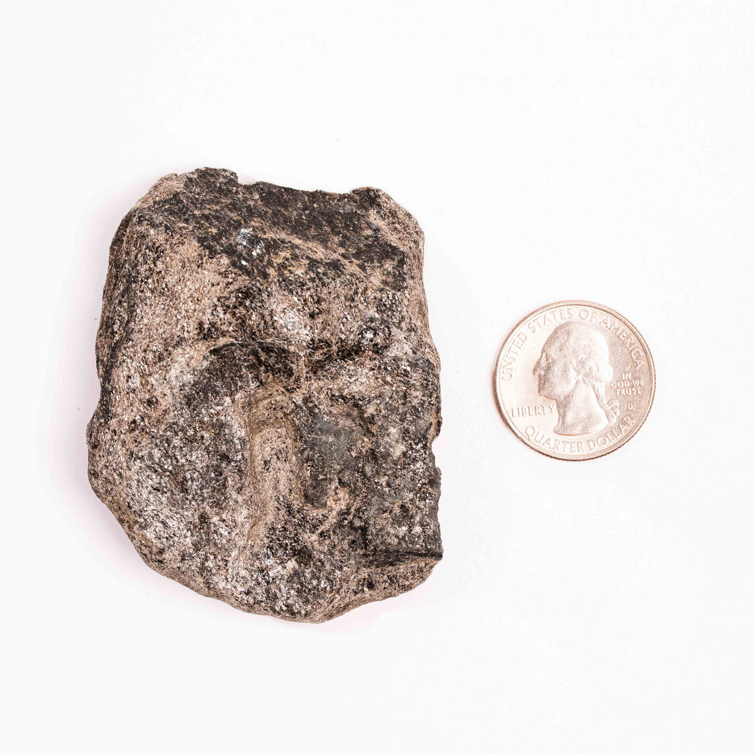 Alexandrite in Mica Schist - Earth Love Gallery Collection