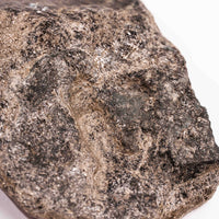 Alexandrite in Mica Schist - Earth Love Gallery Collection