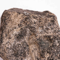 Alexandrite in Mica Schist - Earth Love Gallery Collection