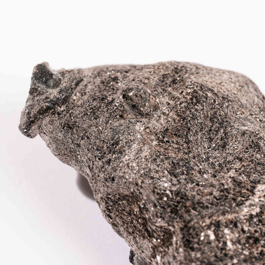 Alexandrite in Mica Schist - Earth Love Gallery Collection