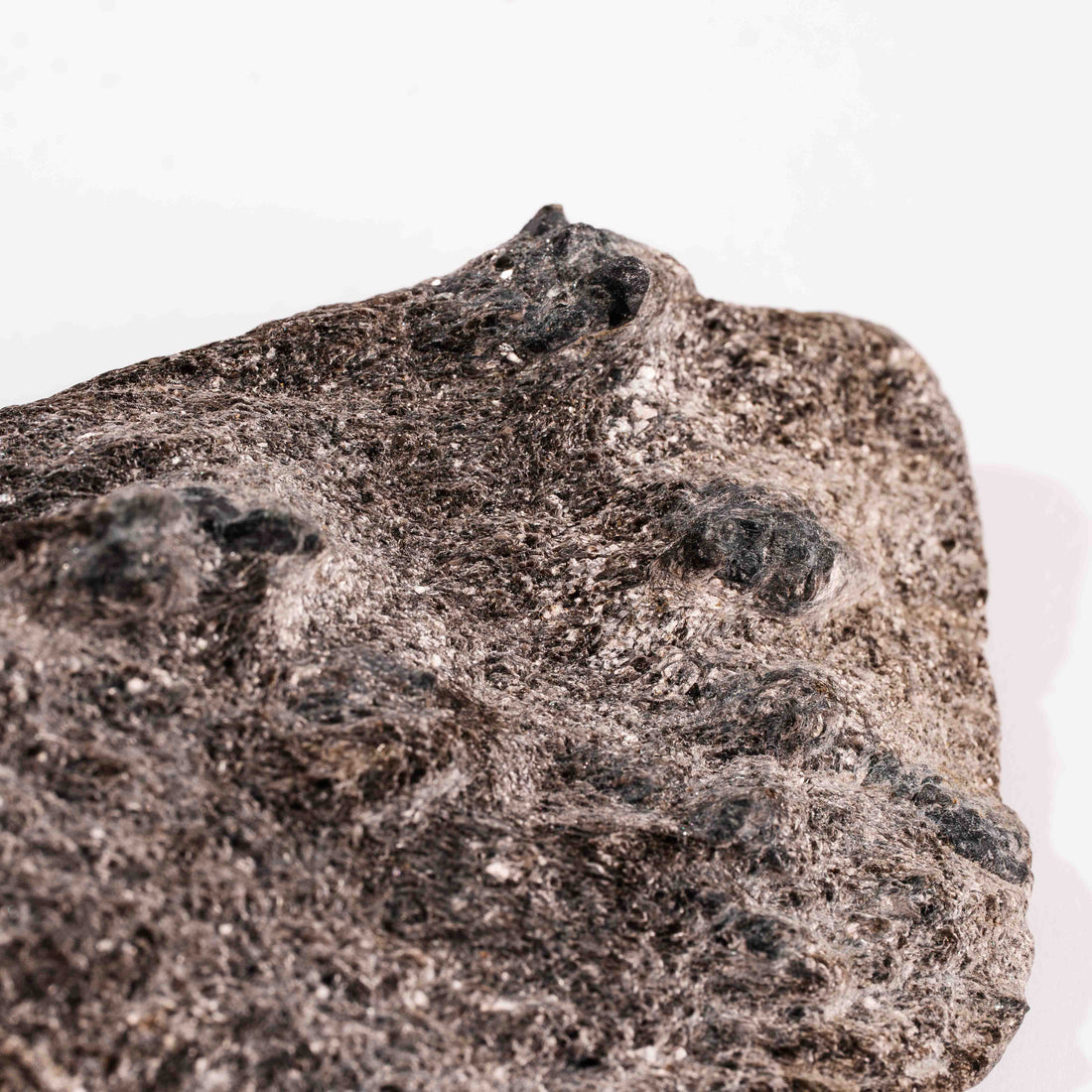 Alexandrite in Mica Schist - Earth Love Gallery Collection