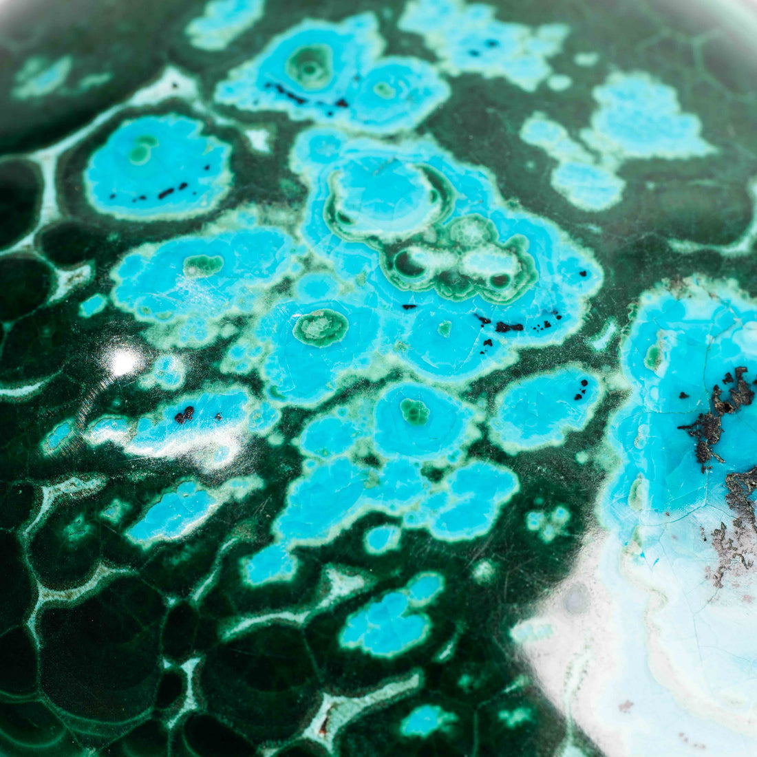 Chrysocolla w/ Malachite - Polished