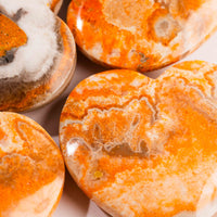 Jasper - Bumble Bee, Dark & Light Hearts