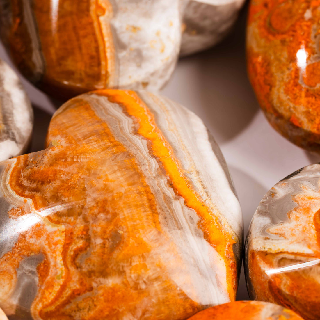 Jasper - Bumble Bee, Dark & Light Hearts