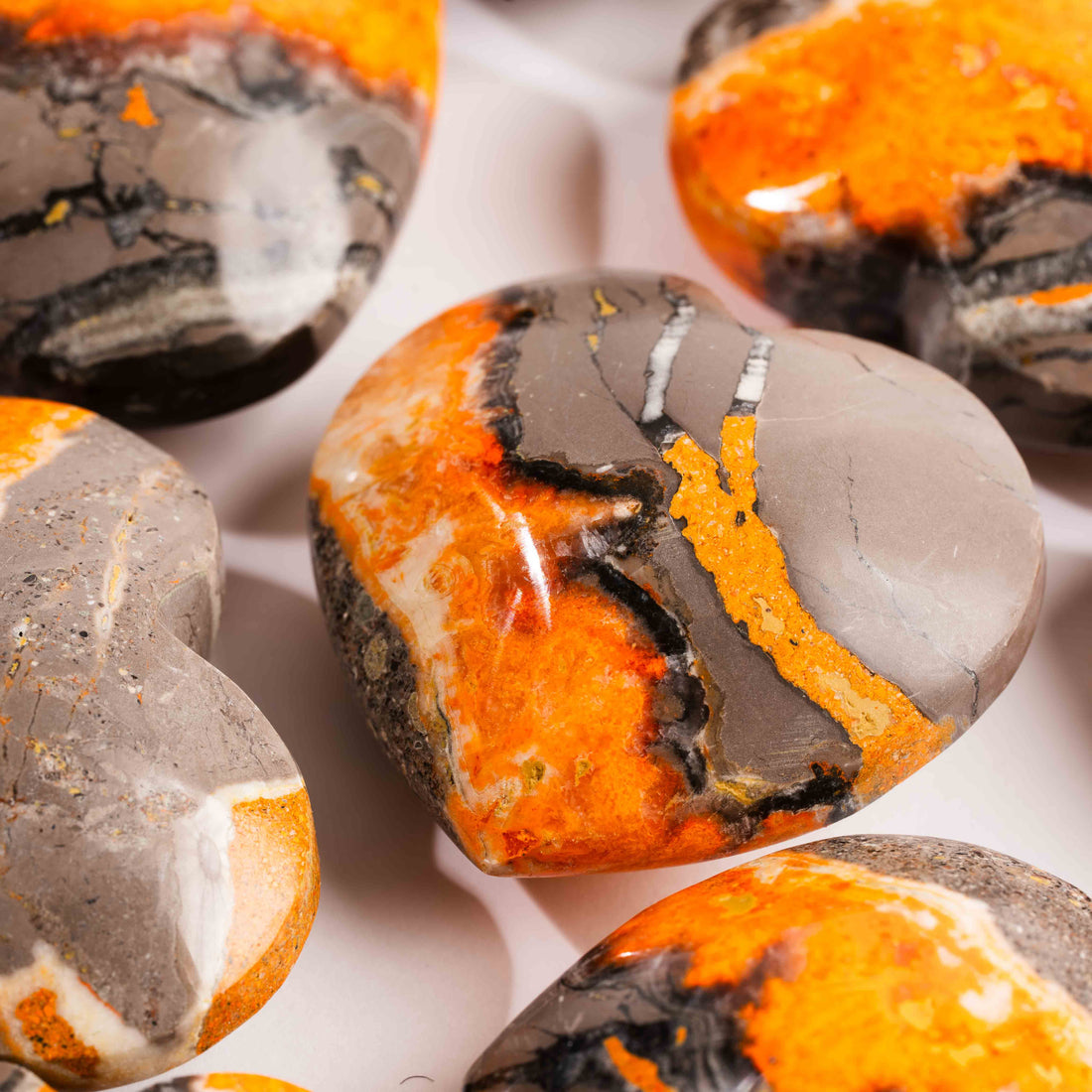 Jasper - Bumble Bee, Dark & Light Hearts