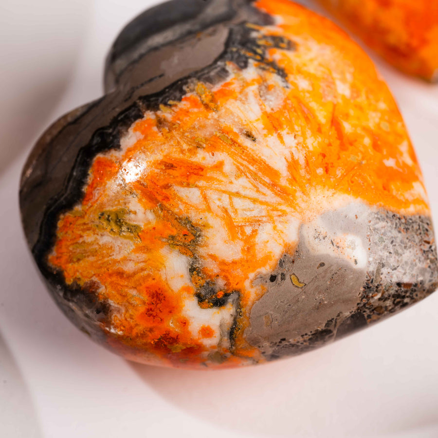 Jasper - Bumble Bee, Dark & Light Hearts