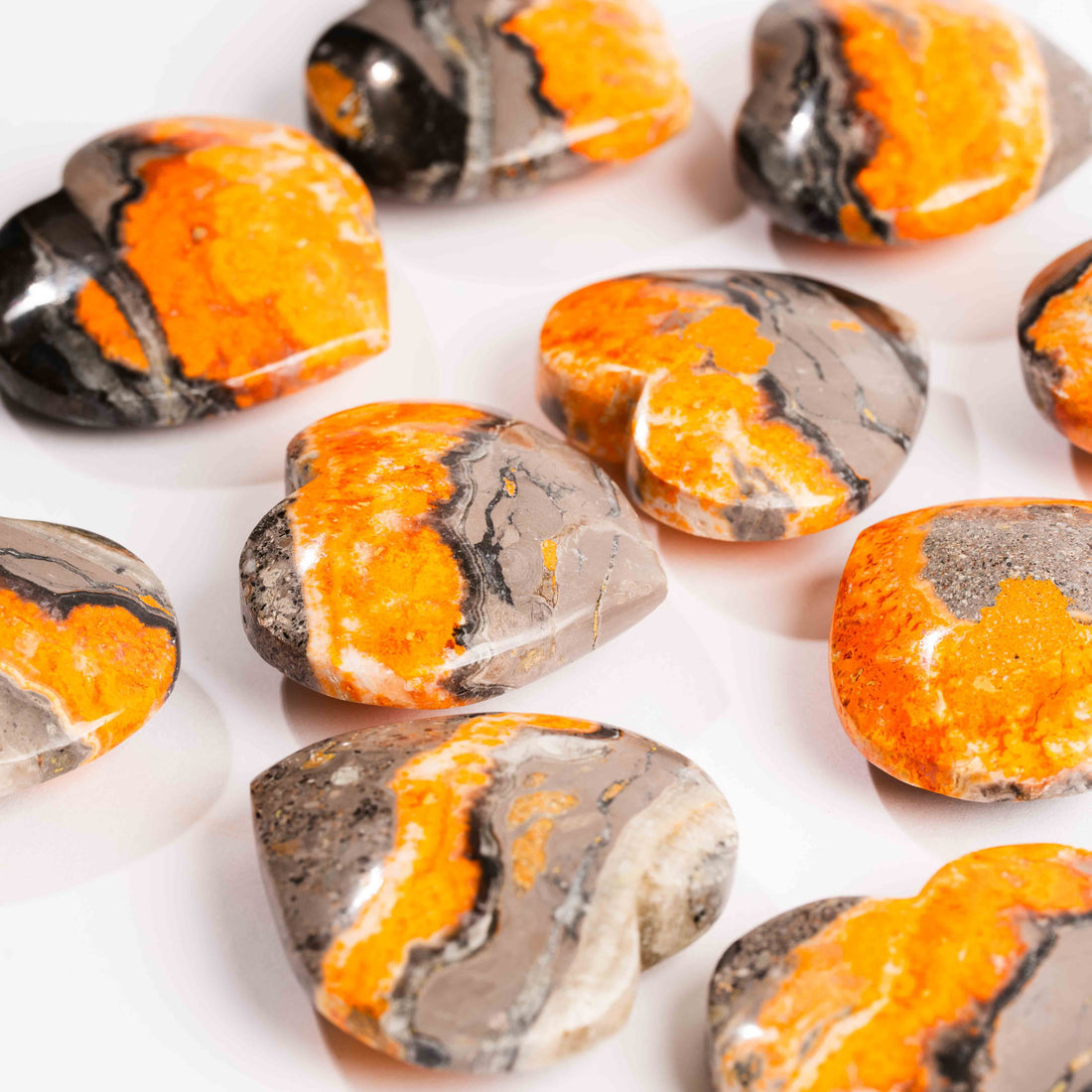 Jasper - Bumble Bee, Dark & Light Hearts