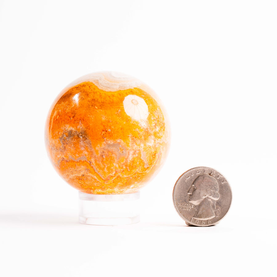 Jasper, Bumble Bee - Sphere