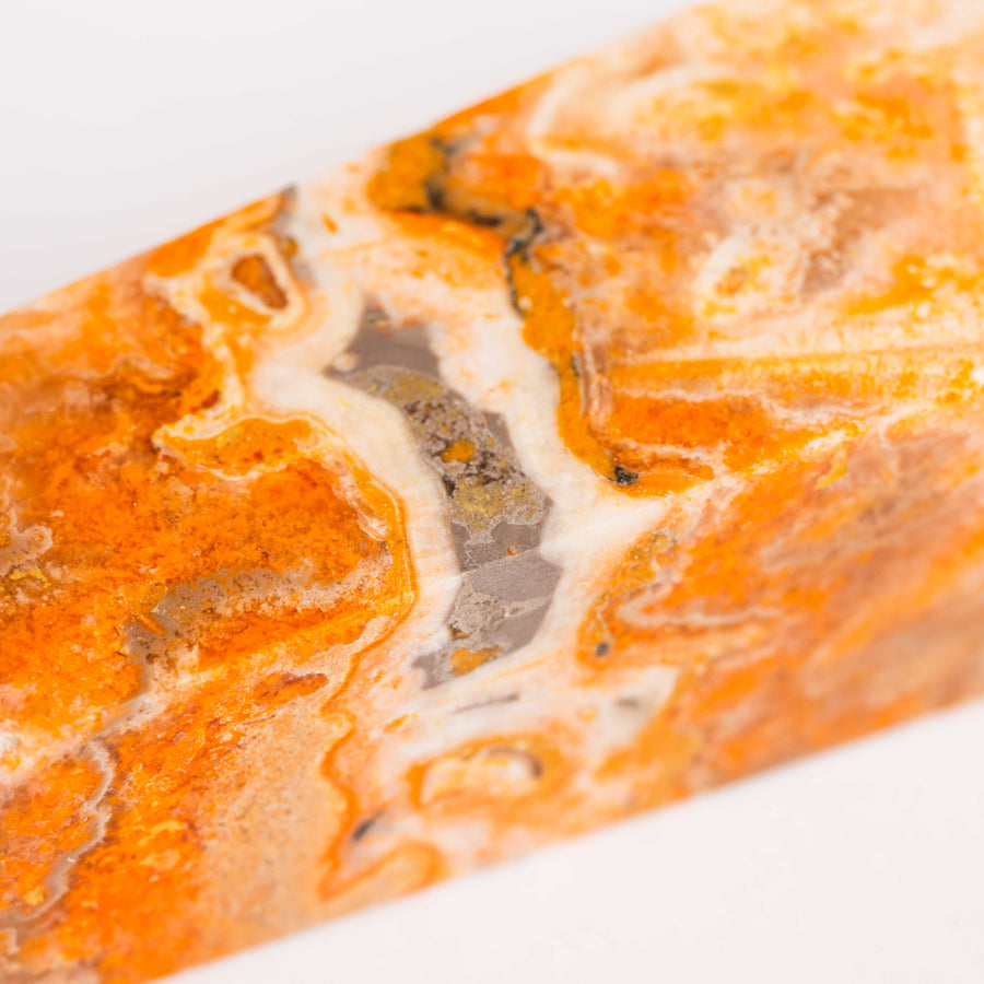 Jasper, Bumble Bee - Tower