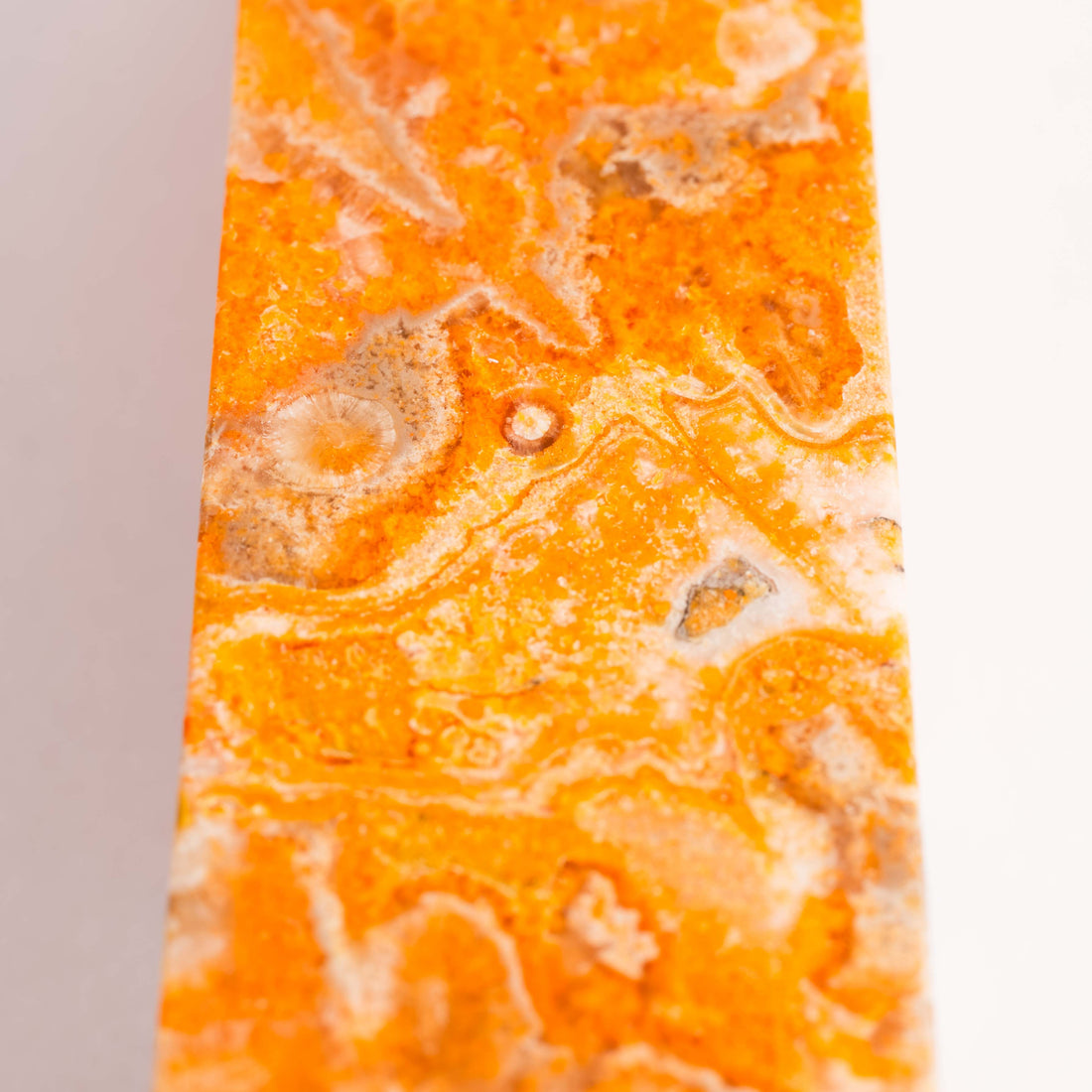 Jasper, Bumble Bee - Tower