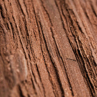 German Fairy Wood - Statement Piece