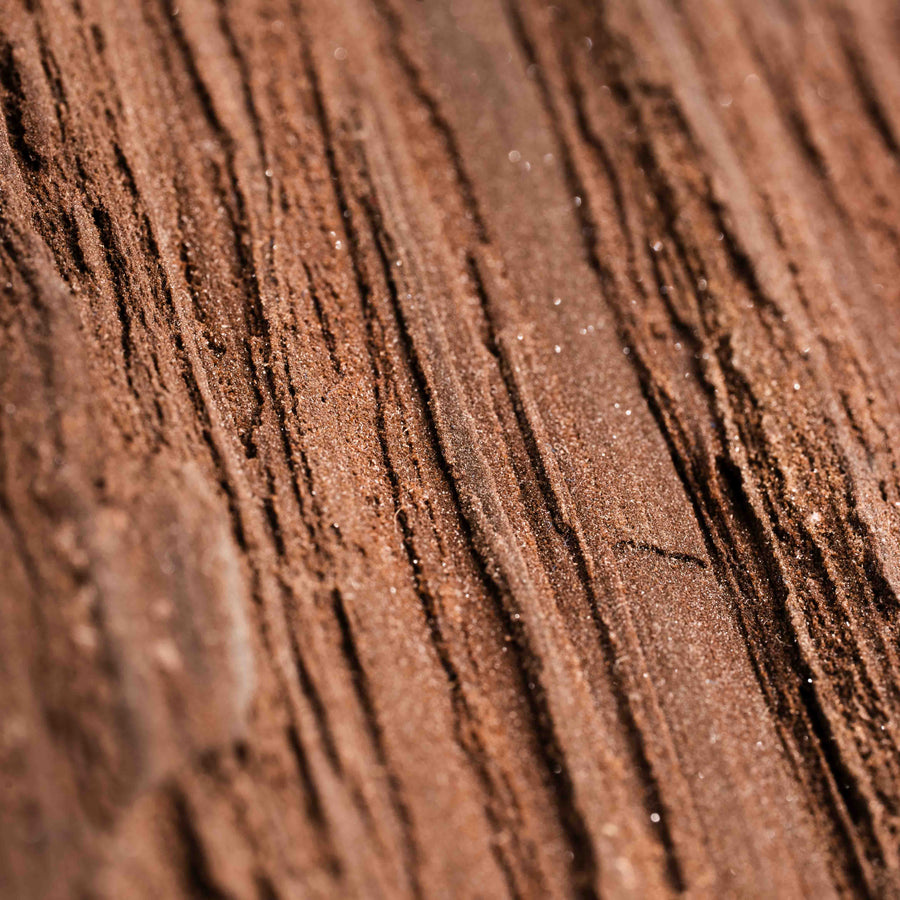 German Fairy Wood - Statement Piece