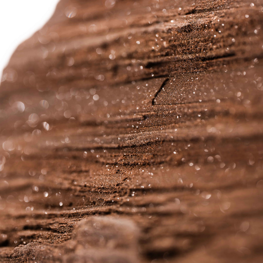 German Fairy Wood - Statement Piece