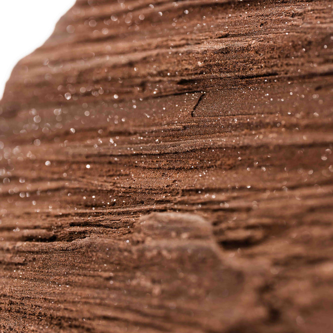 German Fairy Wood - Statement Piece