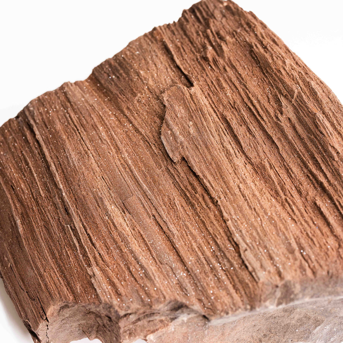 German Fairy Wood - Statement Piece