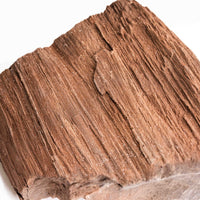 German Fairy Wood - Statement Piece