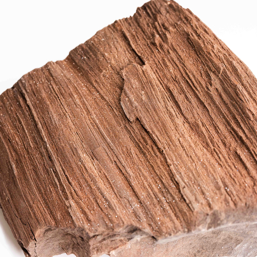 German Fairy Wood - Statement Piece