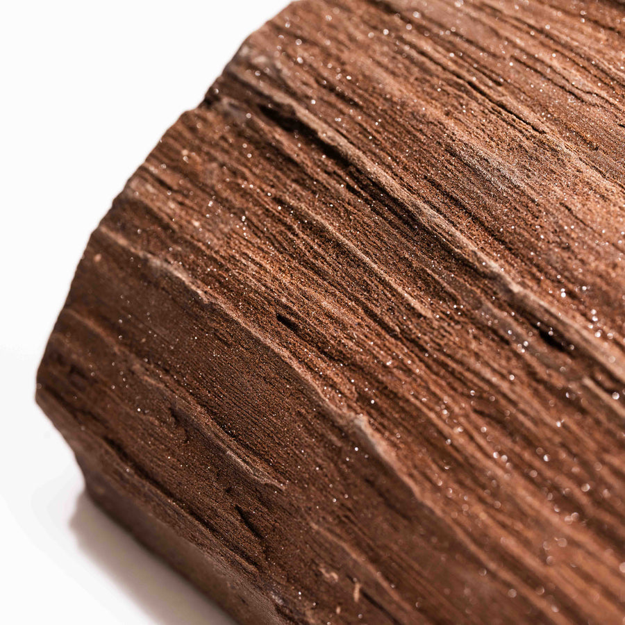 German Fairy Wood - Statement Piece