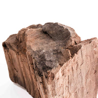 German Fairy Wood - Statement Piece