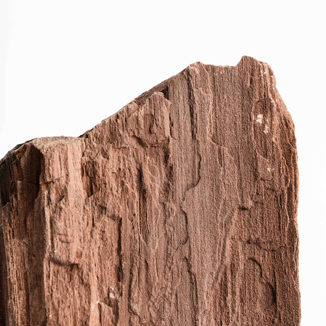 German Fairy Wood - Statement Piece